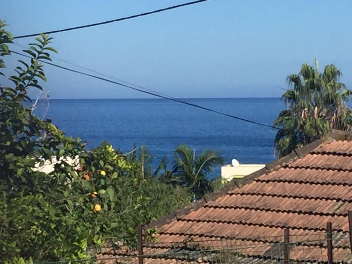 O Clube Villa Porto Da Cruz Eksteriør billede